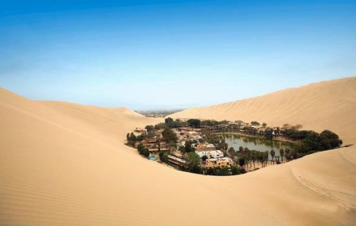 oasis